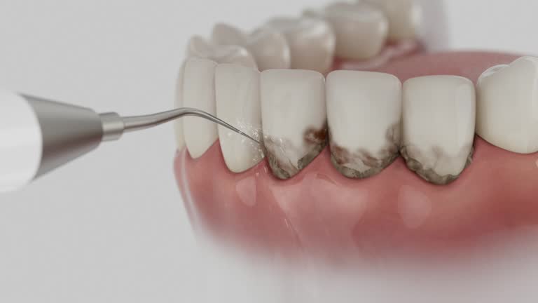 Reliable Dental contractor in Greenbriar, FL by Dentist Open Now
